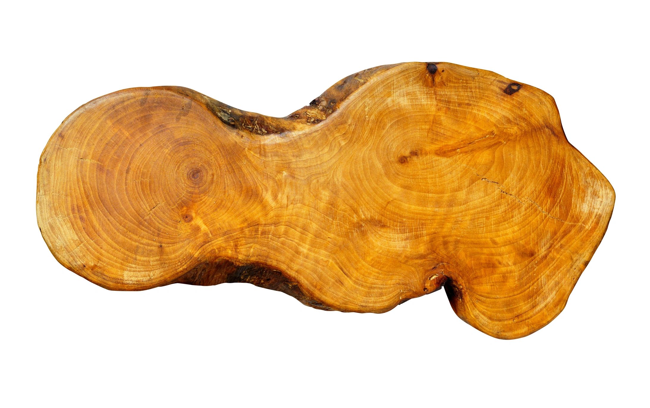 Live edge wood slab ready for milling or finishing