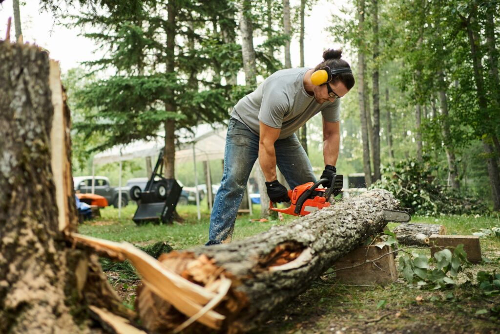 Man cutting down a tree outdoors using a chainsaw